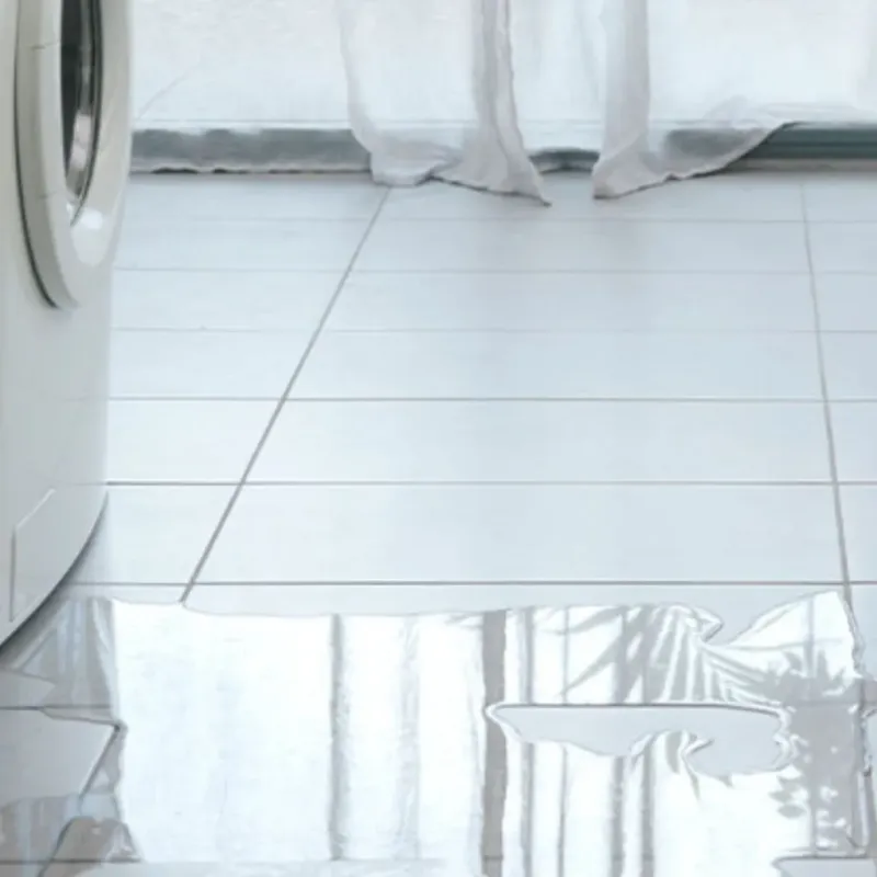 Appliance Leak Cleanup in Wood County, TX