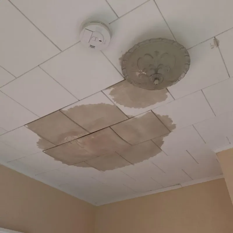 Ceiling Water Damage Repair in Wood County, TX