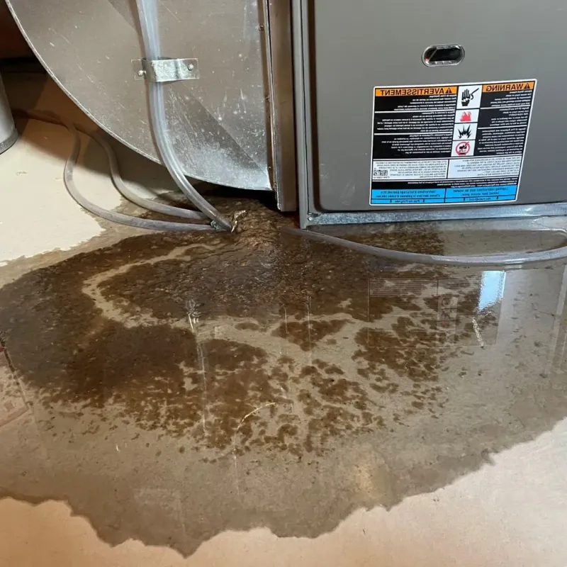 Pipe Burst and Leak Restoration in Wood County, TX
