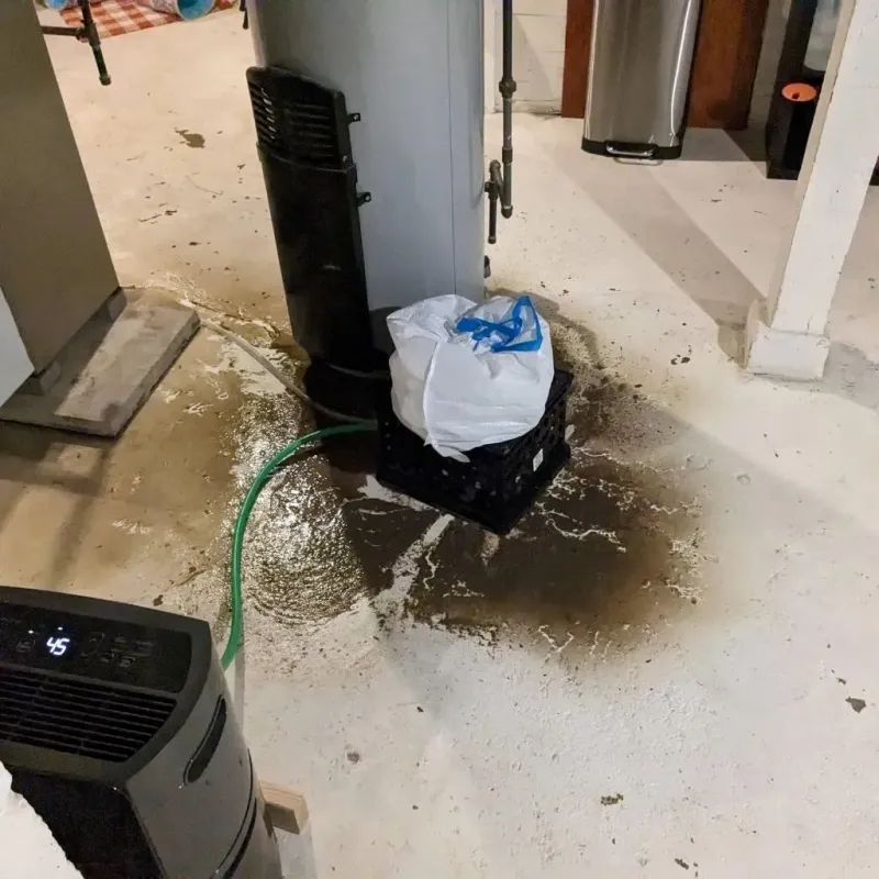 Sewage Backup Cleanup Service in Wood County, TX